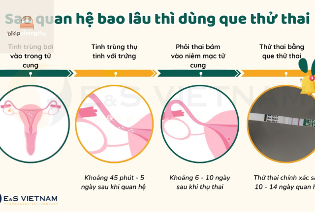Các yếu tố ảnh hưởng đến thời điểm thử thai và kết quả